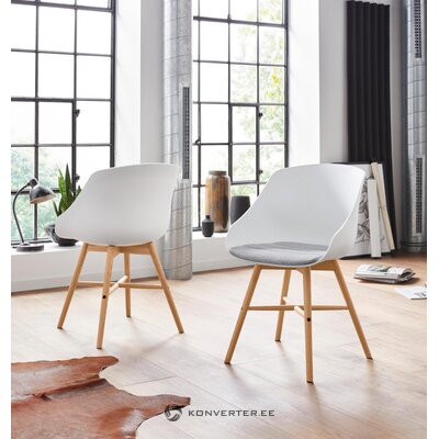 Pruun-Valge Tool (Ben)